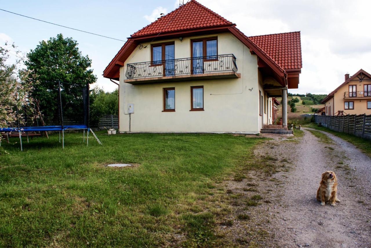 Agroturystyka U Aleksa Krajno-Zagorze Buitenkant foto